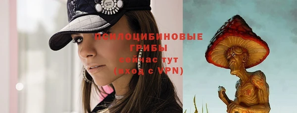 дмт Лиски