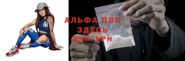 ПСИЛОЦИБИНОВЫЕ ГРИБЫ Липки