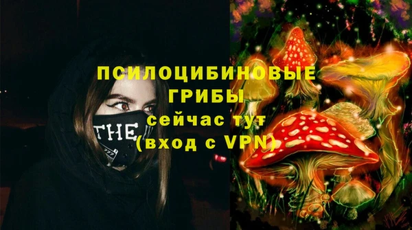 дмт Лиски