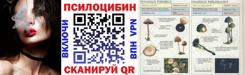 Галлюциногенные грибы GOLDEN TEACHER  Людиново 