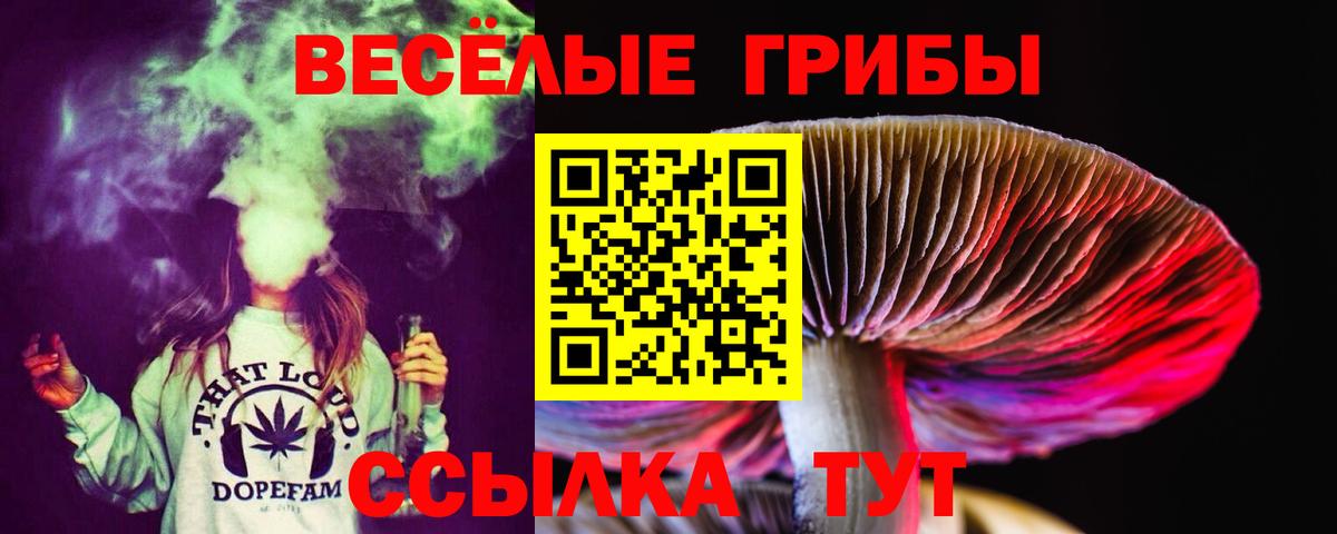 Галлюциногенные грибы MAGIC MUSHROOMS Людиново