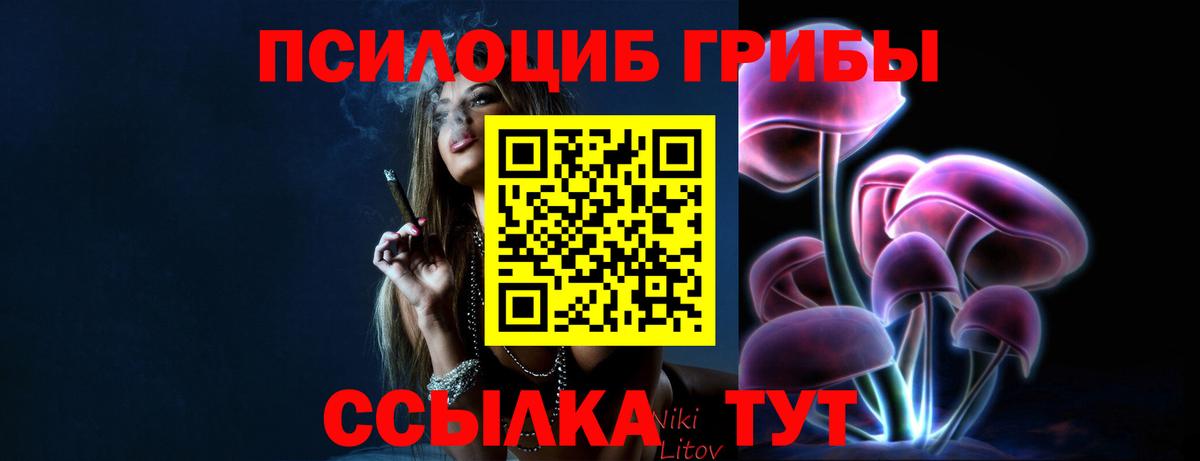 Галлюциногенные грибы Magic Shrooms  Людиново  Псилоцибиновые грибы прущие грибы 